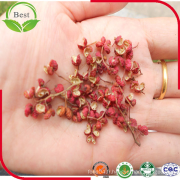 Extrait de poivre épinard chinois / extrait de pelure de pricklyash / pericarpium Zanthoxyli